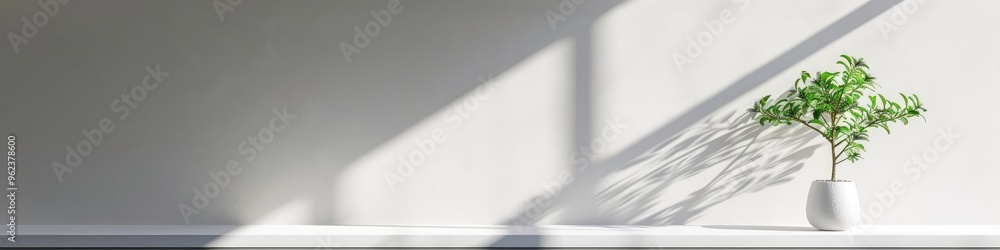 Poster sunlight creating shadows and patterns on an empty canvas alongside a vase and ornamental plant on a
