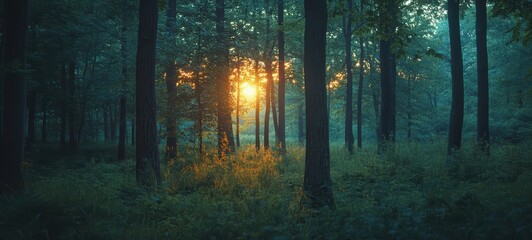 A peaceful forest scene at dusk