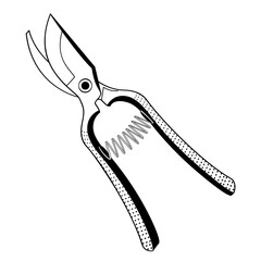 metallic shears for cutting flowers