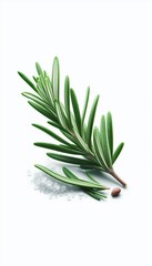 Fototapeta premium Rosmain