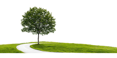 Lone tree on a grassy hill with a winding path, symbolizing nature, tranquility, and serenity