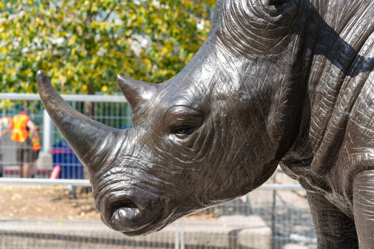 close-up detail of Rhino by Gillie and Marc, from public sculpture, "He Was on a Ride to a Safer Place with Rabbitwoman and Dogman