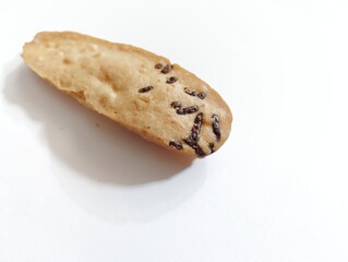 dry sponge cake with chocolate sprinkles at the end, on a white background