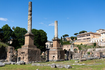 Basilica Aemilia, Tabularium, Arco di Settimio Severo, Curia Iulia, located at the Roman Forum, Italy