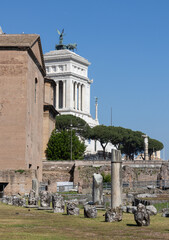 Rome, the Forum Romanum, the forum of Cesar and the remains of the Temple of Venus Genetrix,...