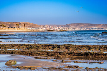 Madraba beach with rugged coastline and crashing waves. Taghazout town in desert near Agadir, Morocco in background. Birds in sky. Rocky coast of Atlantic ocean. Famous surf spot