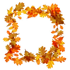 Decorative frame made of autumn oak leaves in warm tones of orange and brown. Vector illustration.