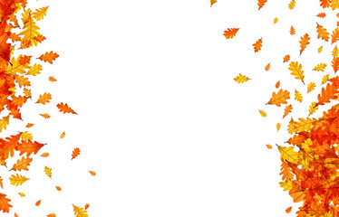 Swoosh of autumn oak leaves in vibrant orange and yellow, creating a dynamic flow. Vector illustration