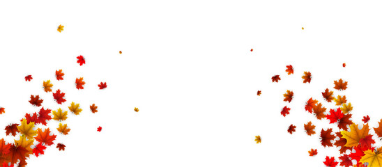 Colorful autumn maple leaves scattered on a white background. Red, orange, and yellow hues create a seasonal, airy design.