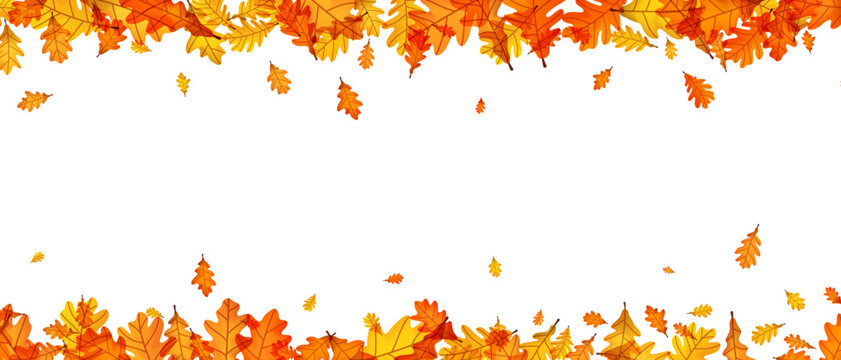 Top and bottom border of autumn oak leaves in vibrant orange and yellow tones. Vector illustration