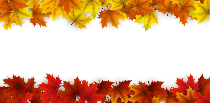 Vibrant red, orange, and yellow maple leaves form a border on a white background. Ideal for seasonal designs, invitations, or fall-themed projects.
