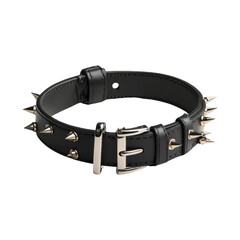 Black Leather Dog Collar with Spikes
