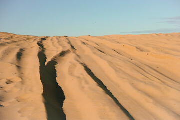 Sand Dunes with Vehicle Tracks at Worimi Conservation Lands