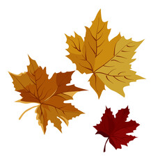Vector autumn yellow dry maple leaves. Flat illustration with brown plants for design