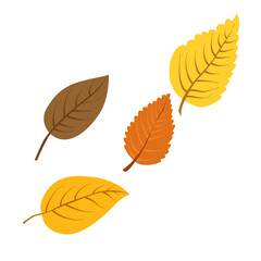 Obraz premium Vector autumn yellow dry alder leaves. Flat illustration with brown plants for design