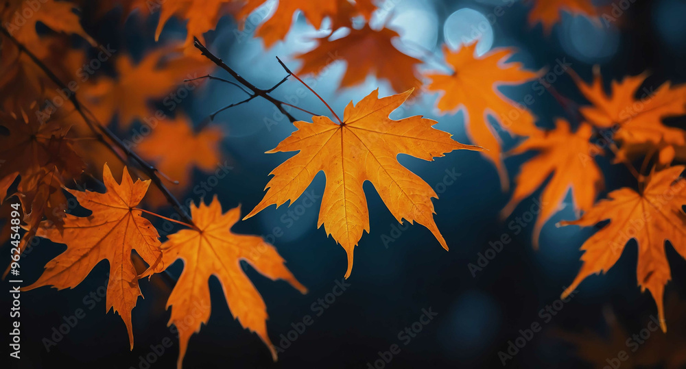 Canvas Prints Orange glowing maple leaves abstract background