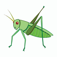 a grasshopper vector element illustration