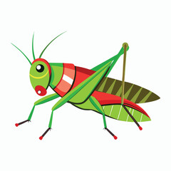 a grasshopper vector element illustration