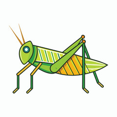 a grasshopper vector element illustration