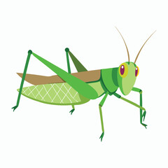 a grasshopper vector element illustration