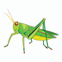 a grasshopper vector element illustration