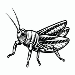a grasshopper vector element illustration
