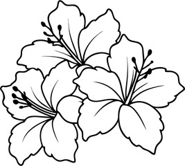 Obraz premium hibicus flower1