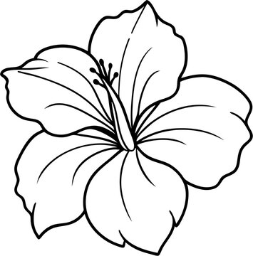 hibicus flower10