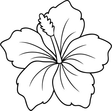 hibicus flower9