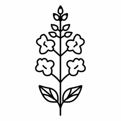 This illustration showcases a vector design of Angelonia, featuring a clean line art style that highlights the flower's natural beauty and leaf details