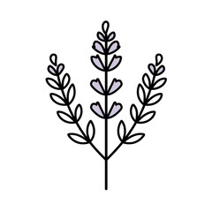 This artwork features a minimalist outline of lavender flowers, highlighting the beauty and simplicity of floral essential oils in a contemporary style