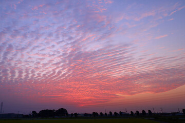 Fototapeta premium 朝焼け