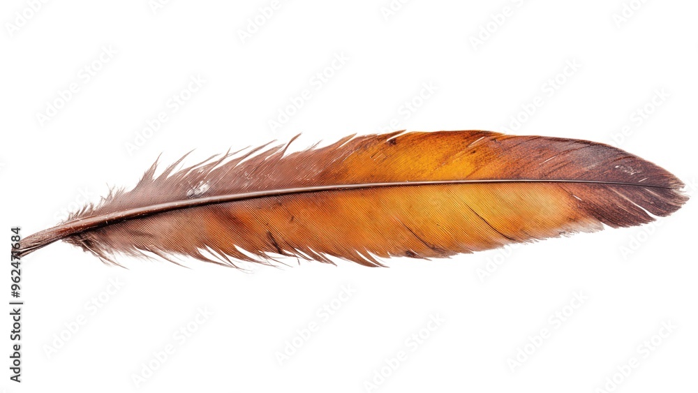 Poster a feather is shown in a close up on a white background