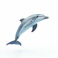 Obraz premium A dolphin is flying in the air