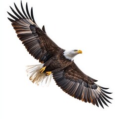 A large eagle is flying in the sky with its wings spread wide