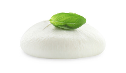 Delicious burrata cheese and basil isolated on white