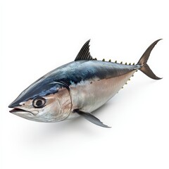 Fototapeta premium A large fish with a blue and white body and a yellow fin