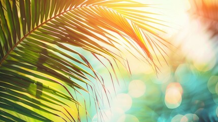 Obraz premium Tropical beach palm leaf with sunlight background. Vintage summer travel concept.