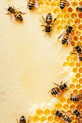 Honeybee waggle dance decoding, border, background wallpaper, blank in the middle, minimalism, negative space, used for postcard template