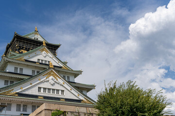 Fototapeta premium 青空と大阪城天守閣