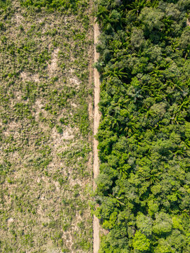 Aerial drone view of dirt road dividing deforested land and native forest in the brazilian Amazon region