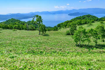 Obraz premium 爽快 北海道 藻琴山展望台 