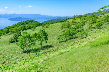 爽快 北海道 藻琴山展望台
