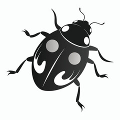  vector ash grey lady beetle vector art walking view