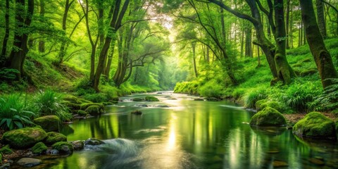 A serene stream flowing through a lush green forest, stream, forest, trees, nature, tranquility, peaceful, water