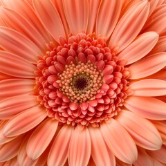 A close-up view of a beautiful orange flower showcasing intricate petals and vivid colors, perfect for nature enthusiasts.