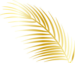 Golden palm leaf icon outline illustration