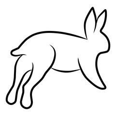 Rabbit  Icon Vector 