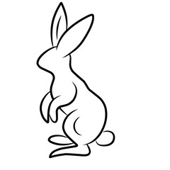 Rabbit  Icon Vector 