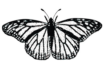 Butterfly Retro halftone collage elements, halftone effect design.